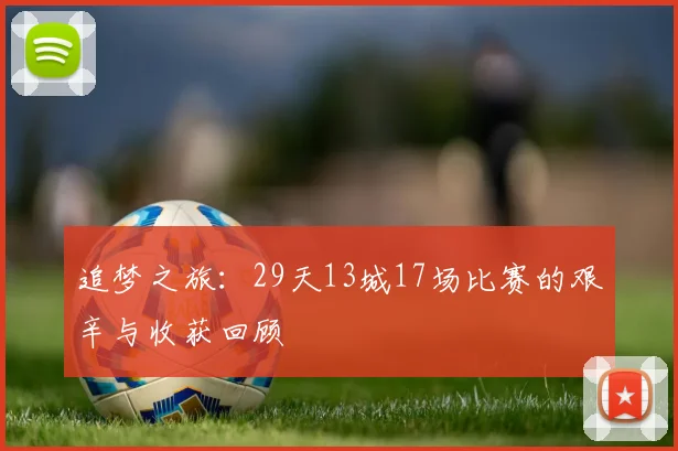 追梦之旅：29天13城17场比赛的艰辛与收获回顾